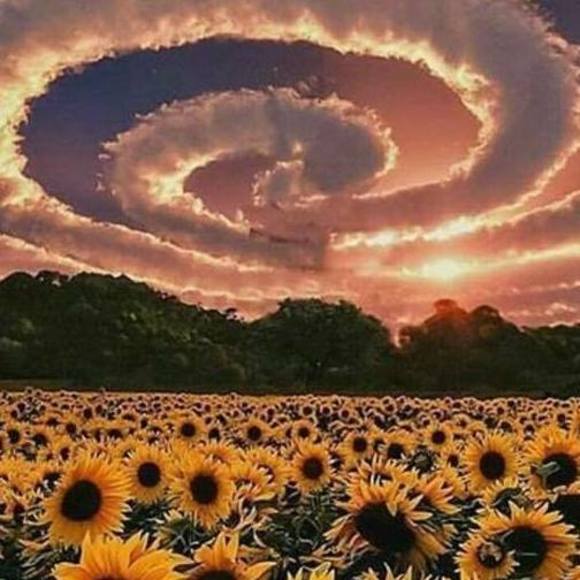 Meet your Posher, Lacey - Picture 1 of 1